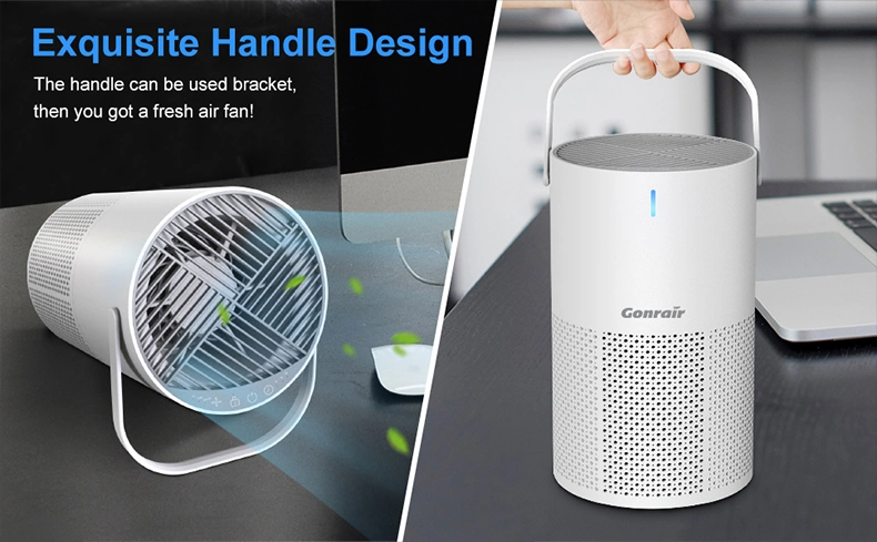 High Efficiency Portable Desktop Quiet Desktop Air Purifier H13 HEPA Inoizer Air Purifier for Office Home Hotel Usage Odor Smoke Dust Pets Eliminator